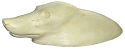 RCY107